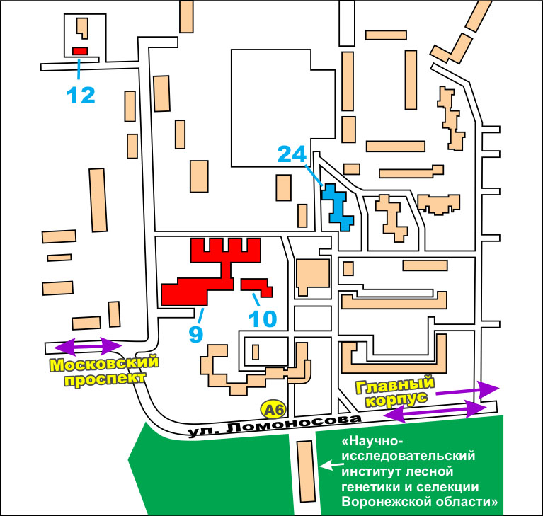 ФГБОУ ВО Воронежский ГАУ / университетский городок